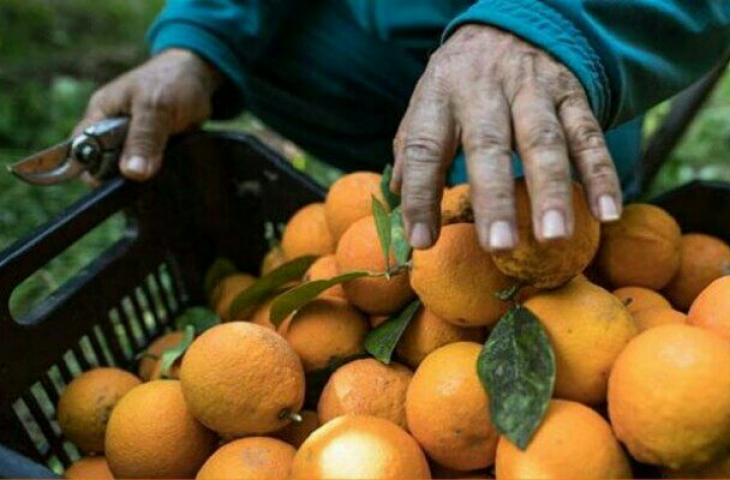 مسؤول يفضح كذبة للأسد ورئيس حكومته